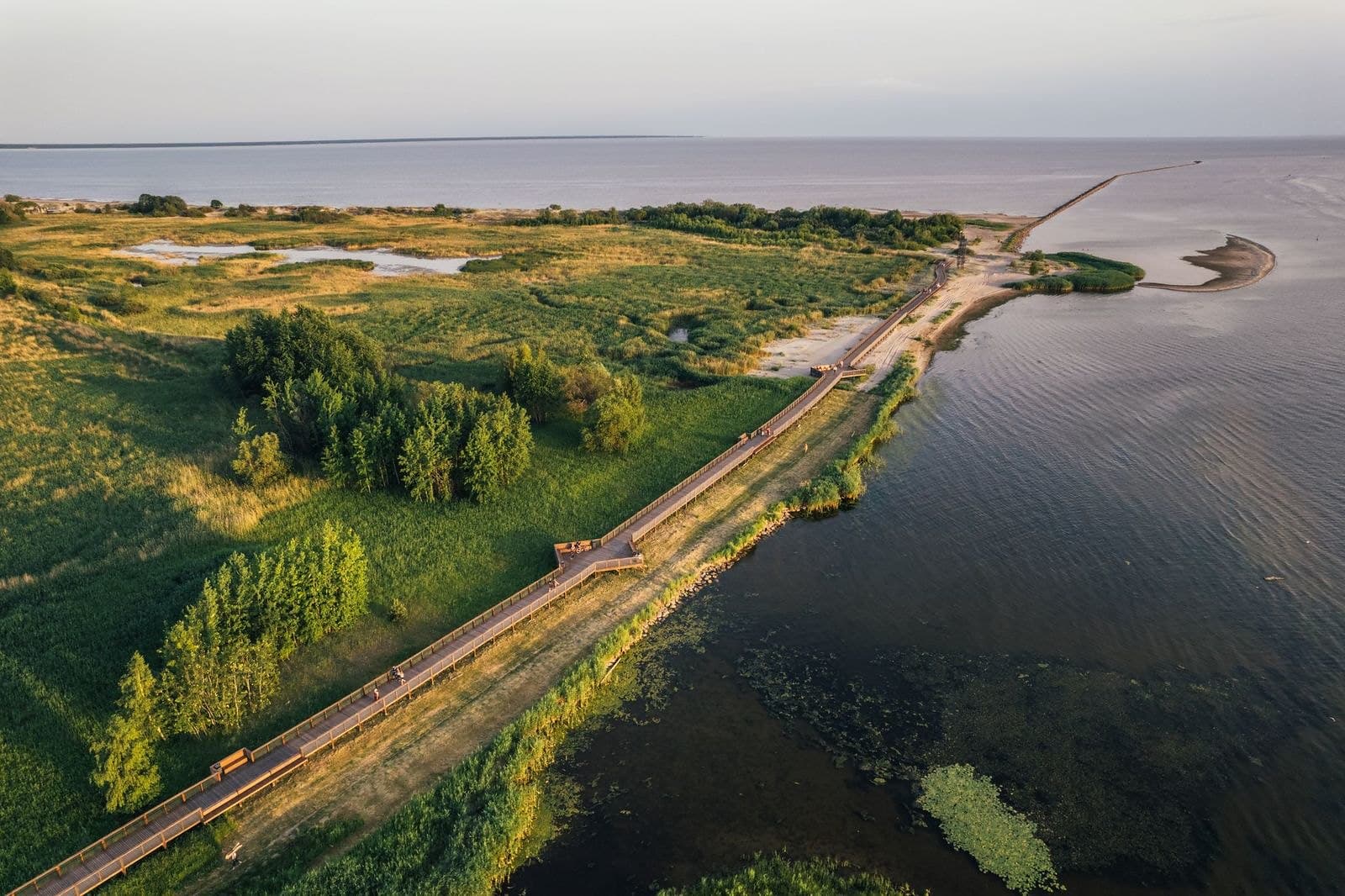 Pärnu rohevõrk — rohelised loodusrajad ranniku ääres